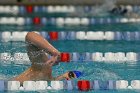 Women's Swimming & Diving  Wheaton College Women’s Swimming & Diving vs Mount Holyoke College. - Photo by Keith Nordstrom : Wheaton, Swimming & Diving